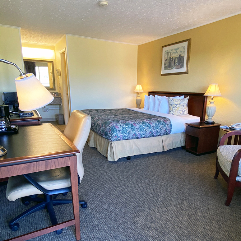 Lake Logan Inn King single yellow room