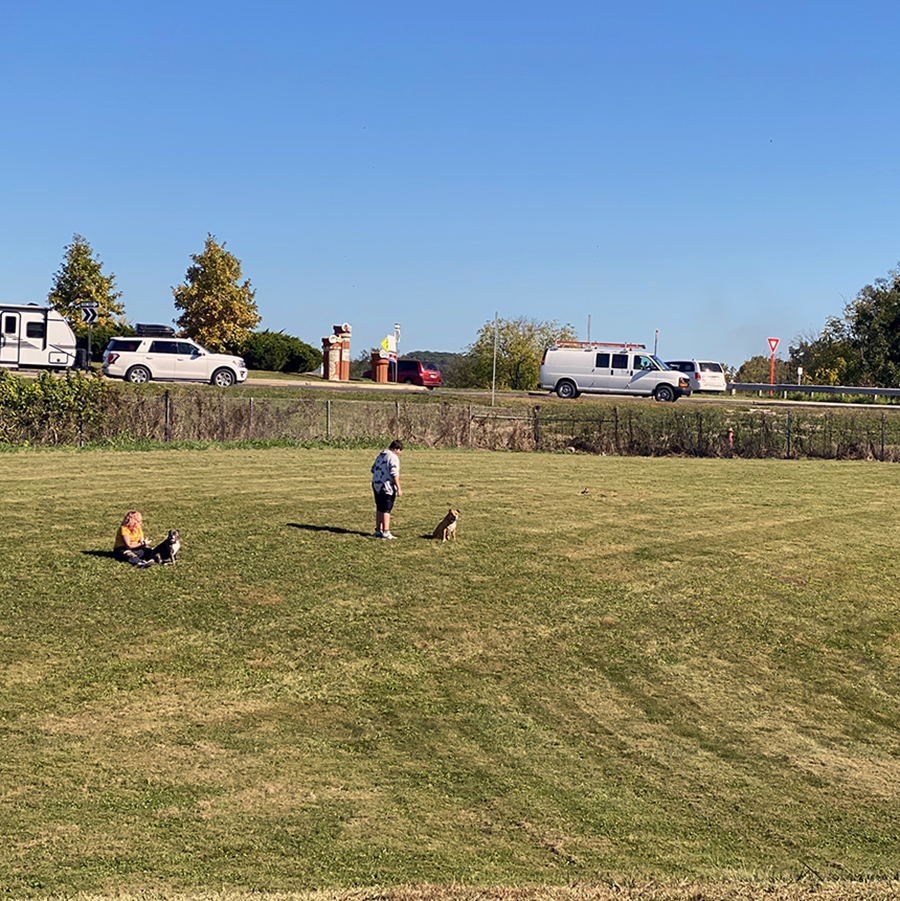 Lake Logan Inn dog yard