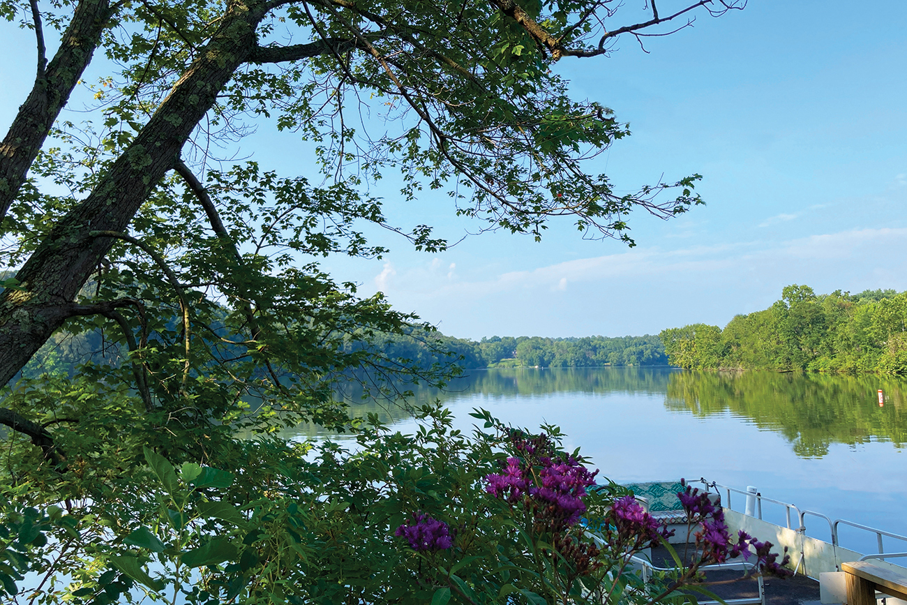 Lake Logan in the summer